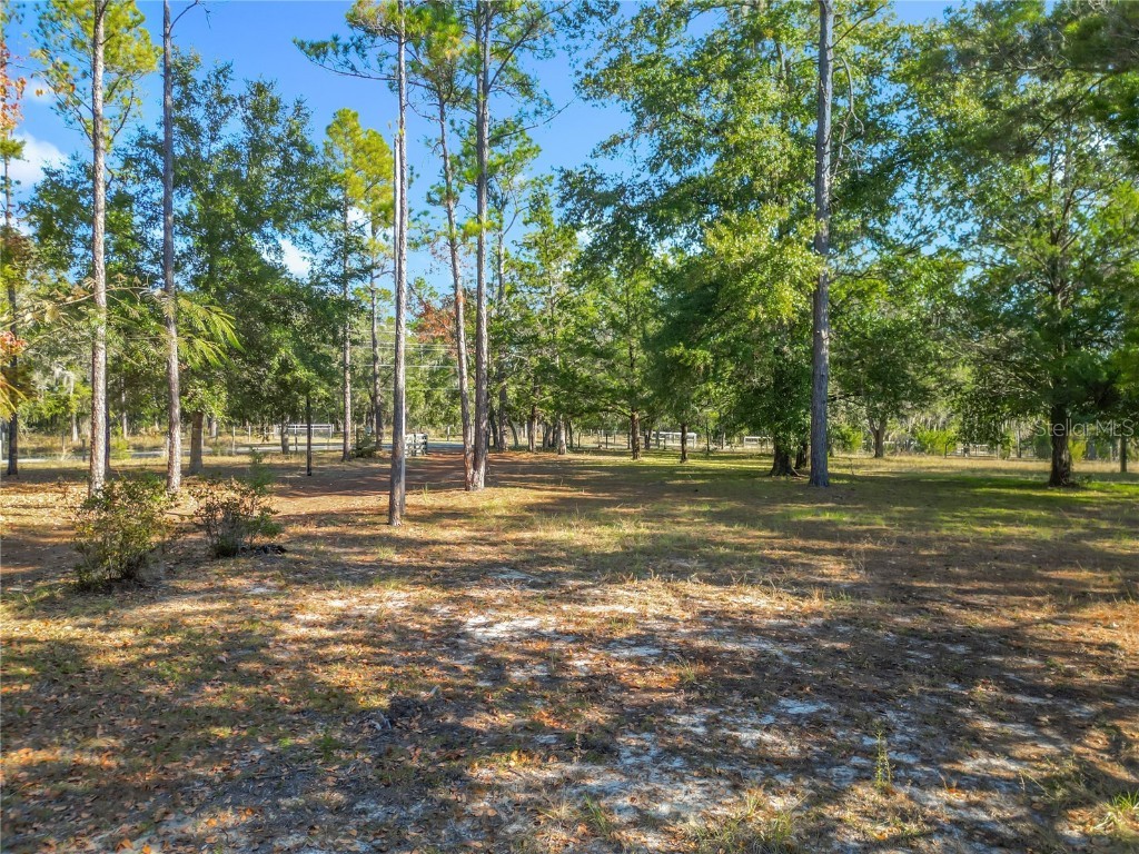 11650 NE 88th Lane Bronson FL 32621 OM714103 image70