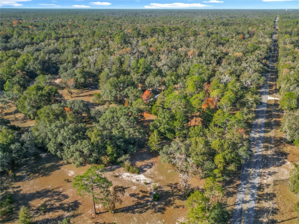 11650 NE 88th Lane Bronson FL 32621 OM714103 image72