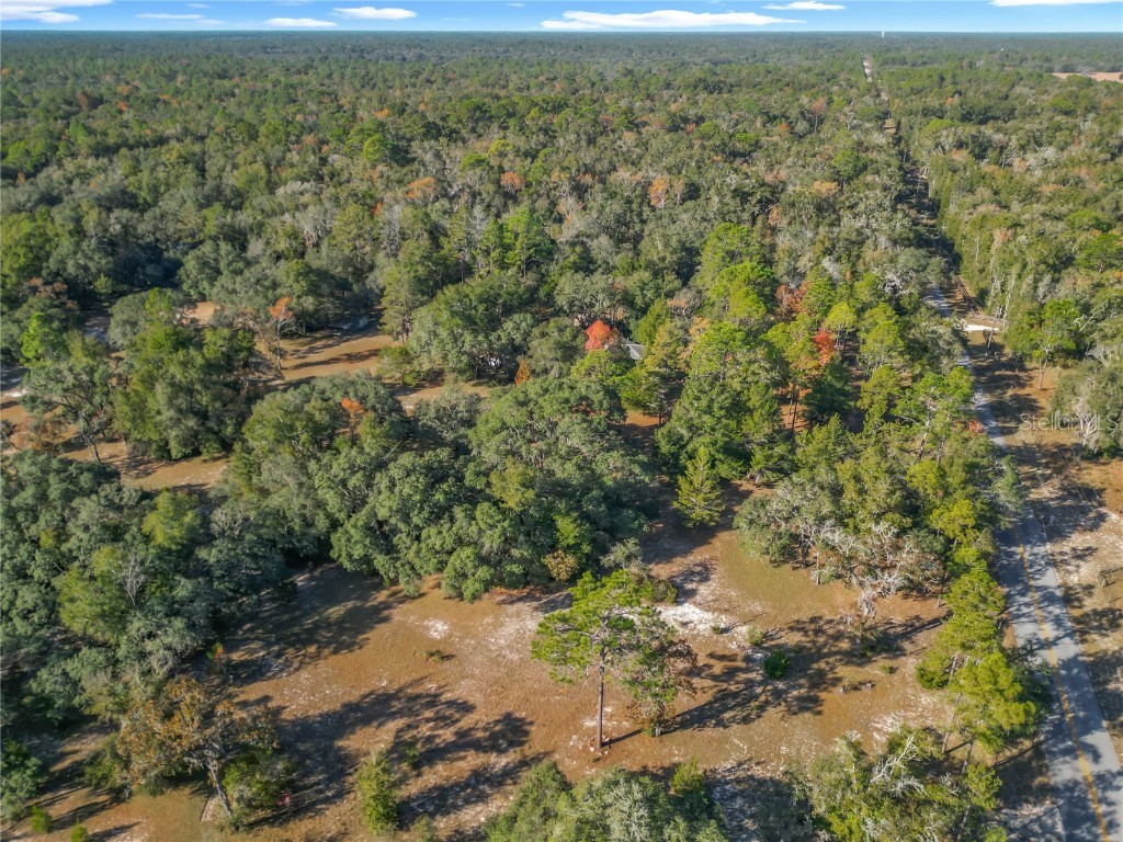 11650 NE 88th Lane Bronson FL 32621 OM714103 image73