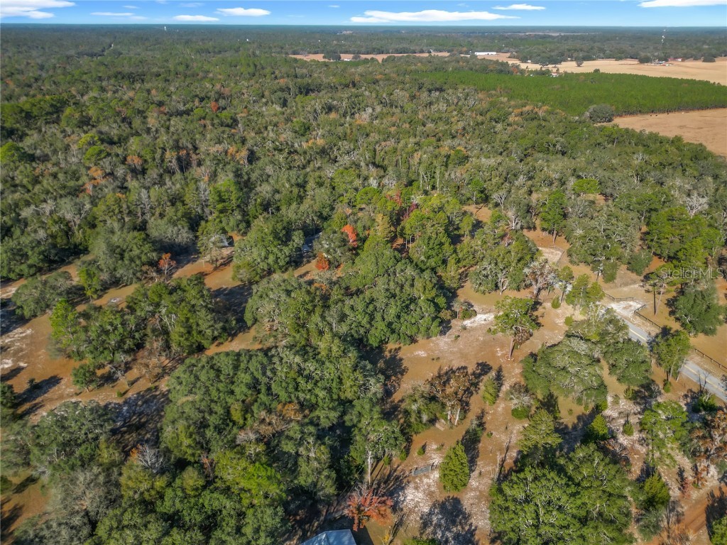 11650 NE 88th Lane Bronson FL 32621 OM714103 image74