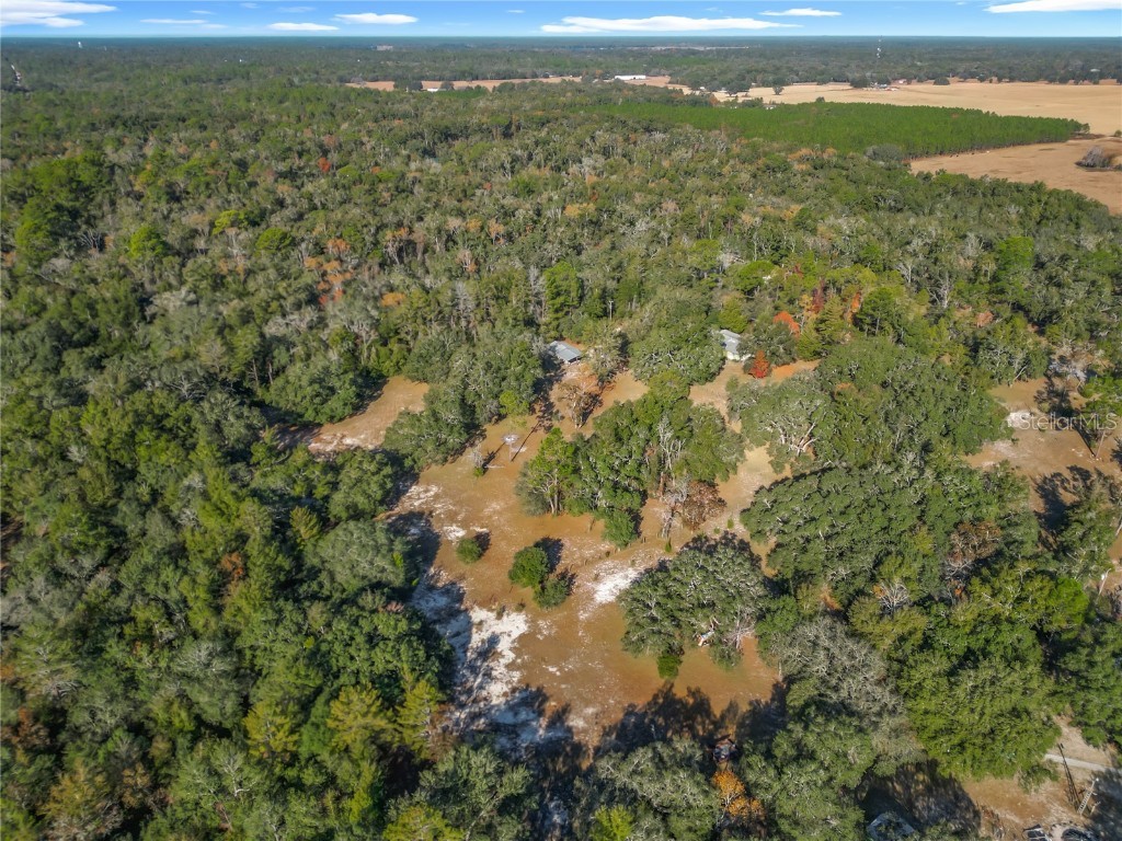 11650 NE 88th Lane Bronson FL 32621 OM714103 image75