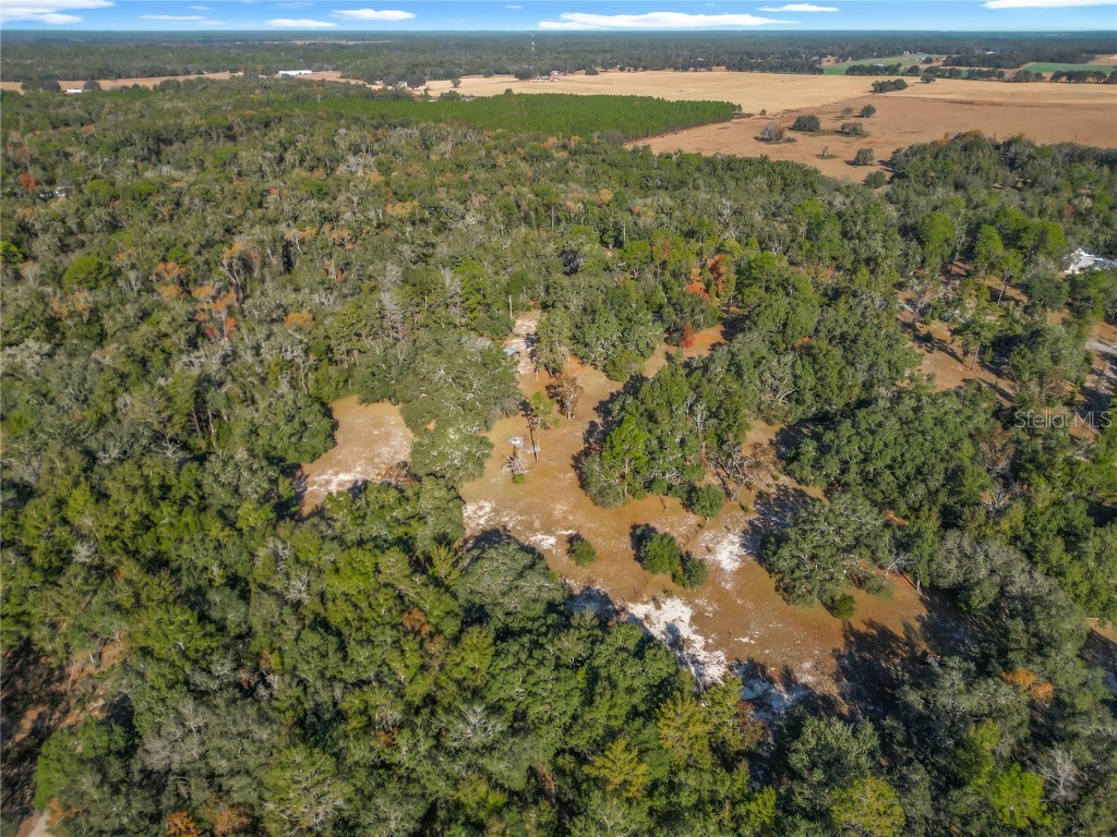 11650 NE 88th Lane Bronson FL 32621 OM714103 image76