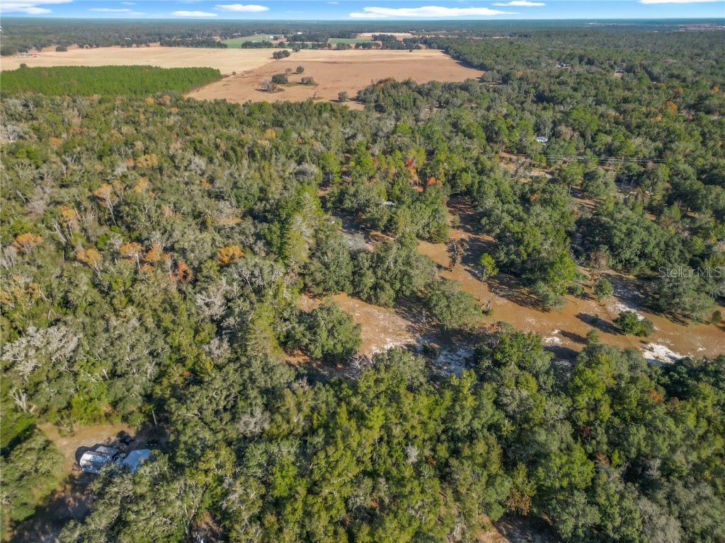 11650 NE 88th Lane Bronson FL 32621 OM714103 image77