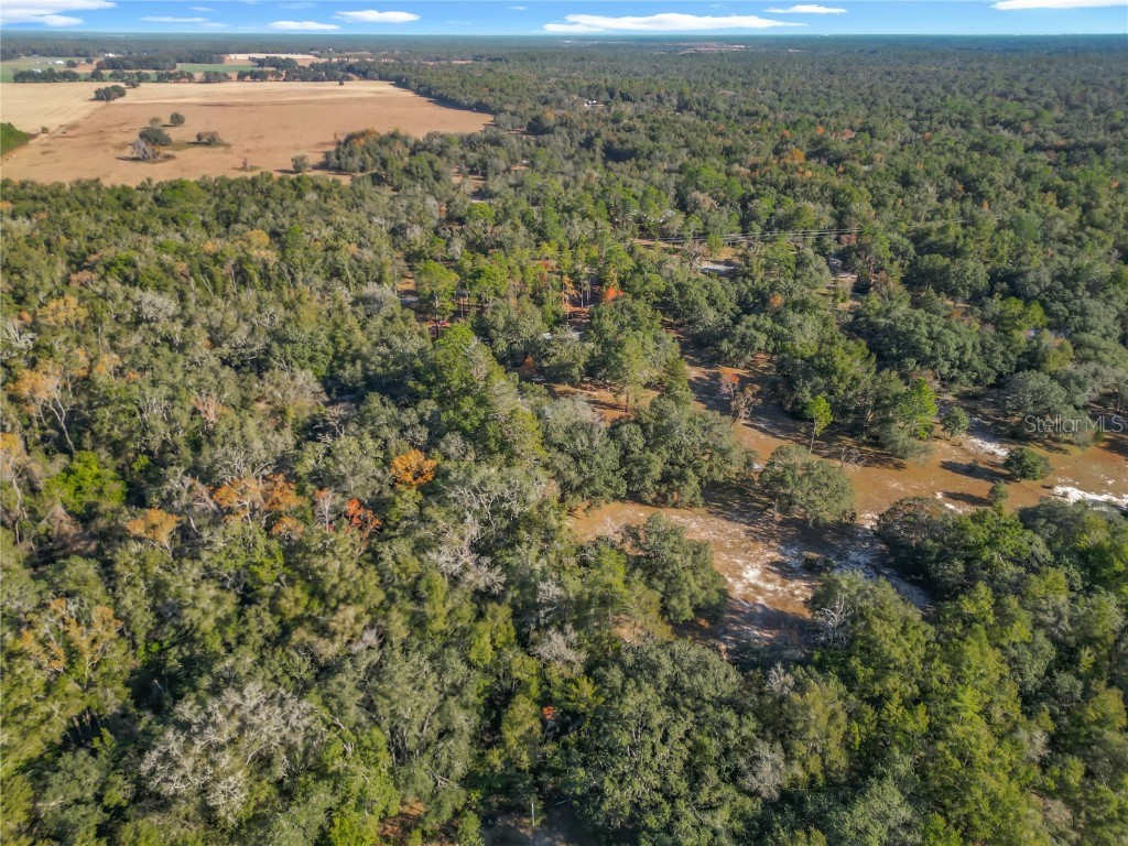 11650 NE 88th Lane Bronson FL 32621 OM714103 image78