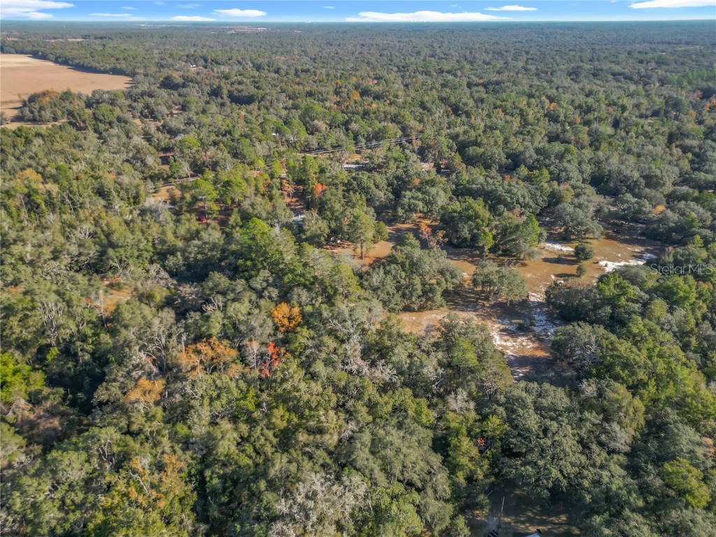 11650 NE 88th Lane Bronson FL 32621 OM714103 image79