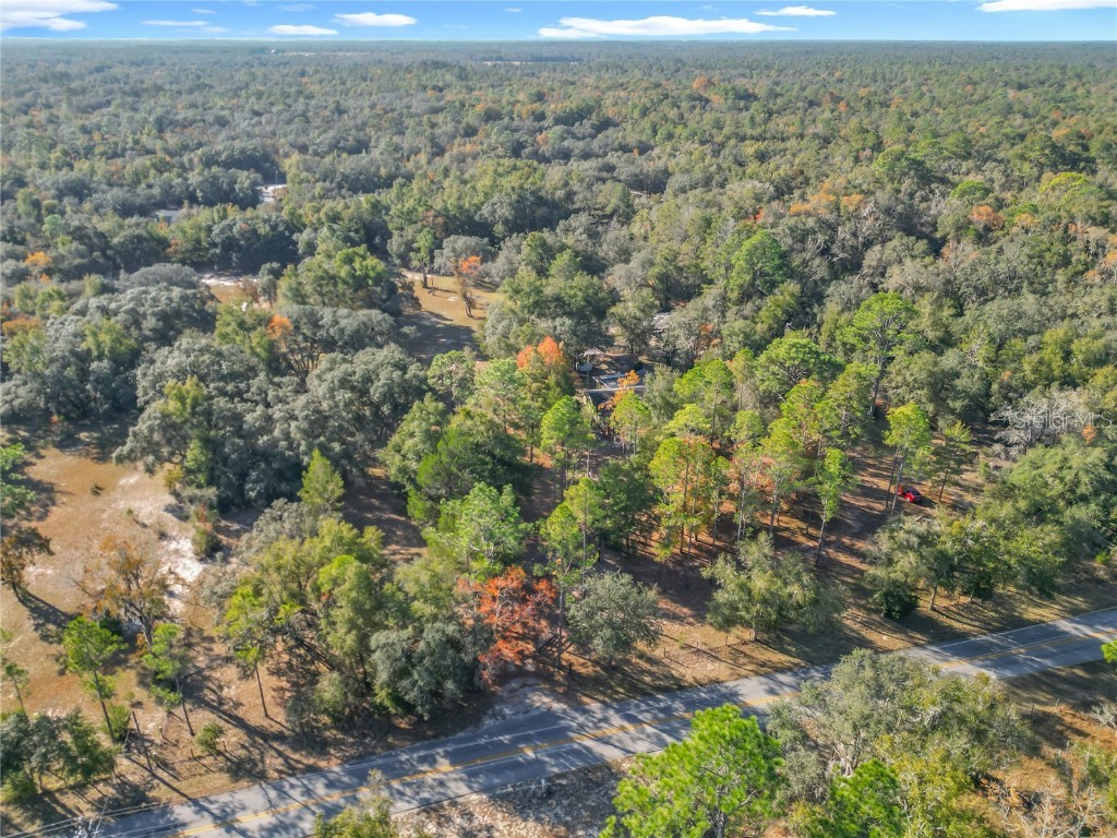 11650 NE 88th Lane Bronson FL 32621 OM714103 image8