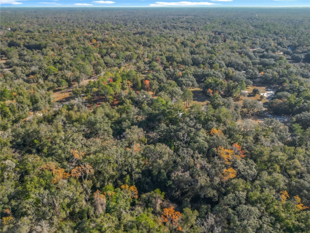 11650 NE 88th Lane Bronson FL 32621 OM714103 image80