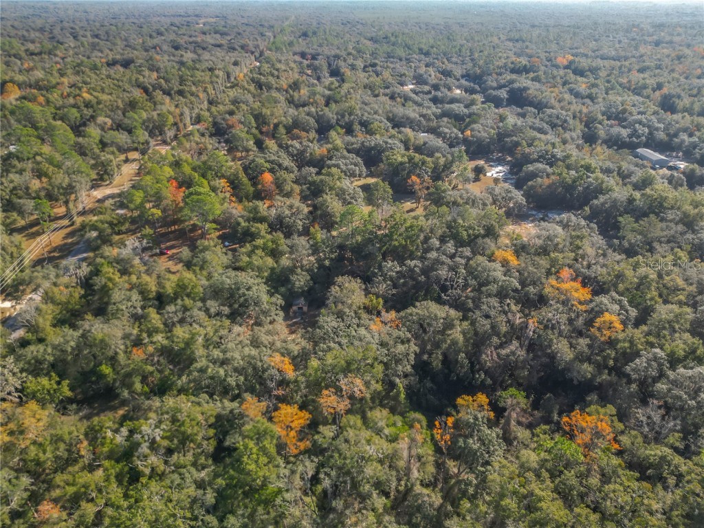 11650 NE 88th Lane Bronson FL 32621 OM714103 image81