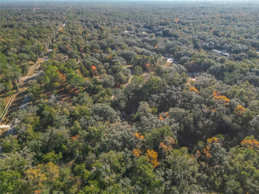 11650 NE 88th Lane Bronson FL 32621 OM714103 image82