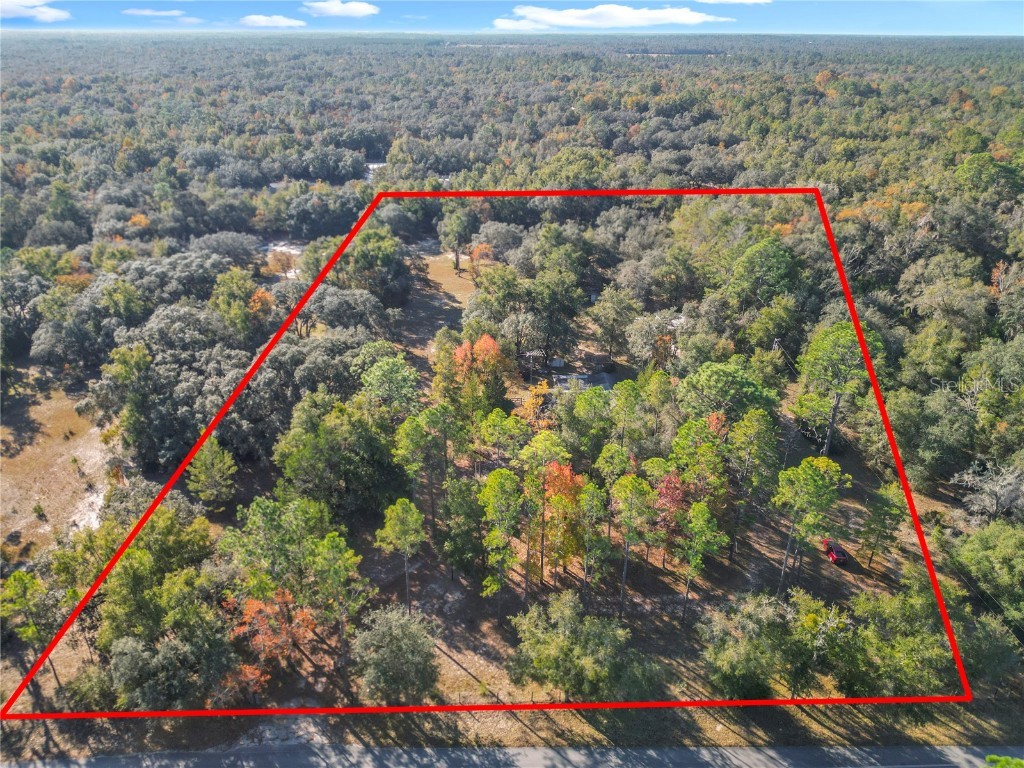 11650 NE 88th Lane Bronson FL 32621 OM714103 image83