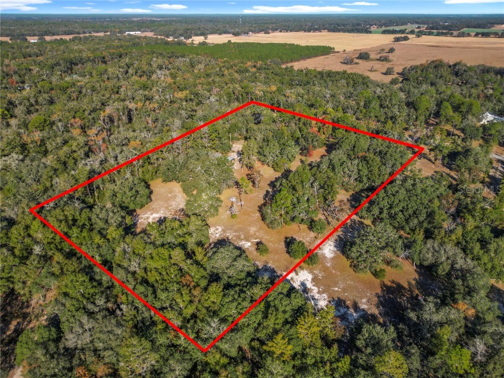 11650 NE 88th Lane Bronson FL 32621 OM714103 image84