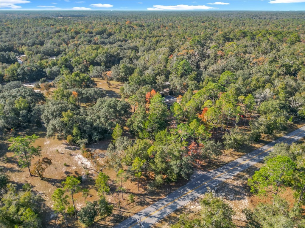 11650 NE 88th Lane Bronson FL 32621 OM714103 image9