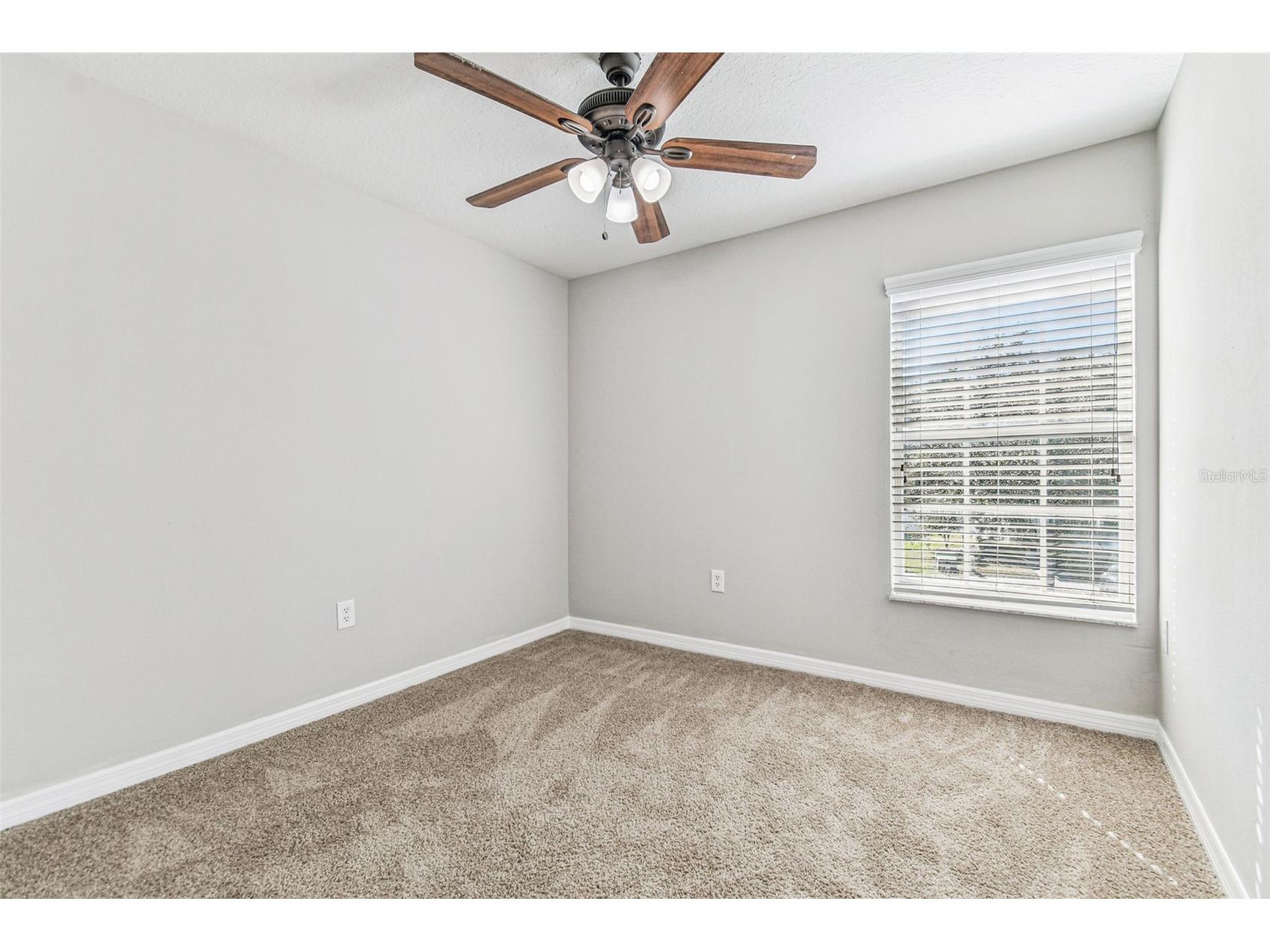 11651 Declaration Drive Tampa FL 33635 TB8479968 image23