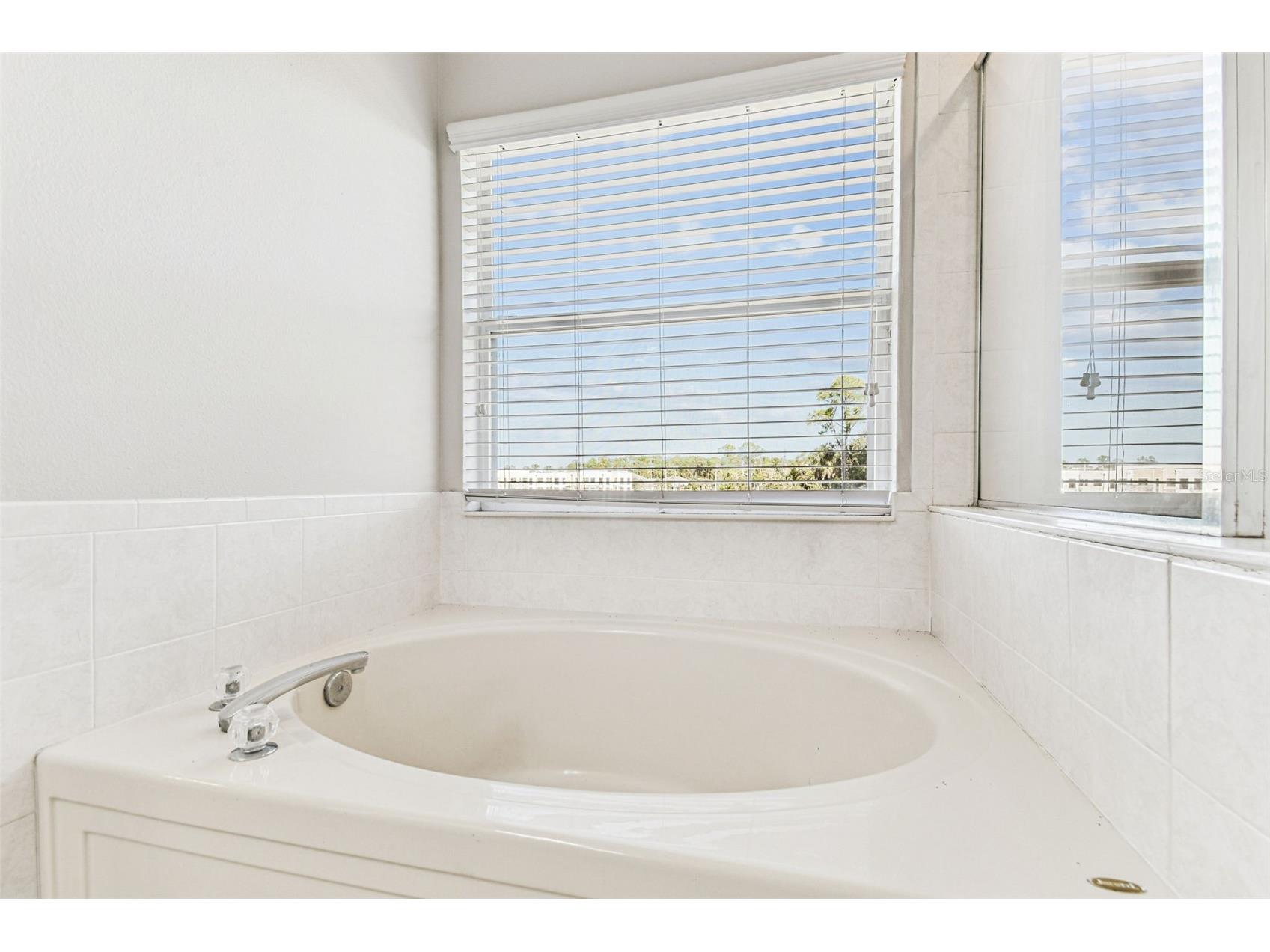 11651 Declaration Drive Tampa FL 33635 TB8479968 image30