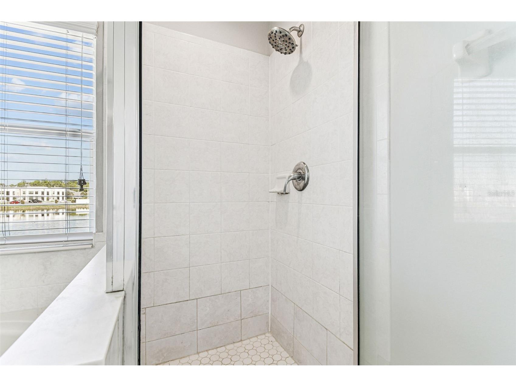 11651 Declaration Drive Tampa FL 33635 TB8479968 image34