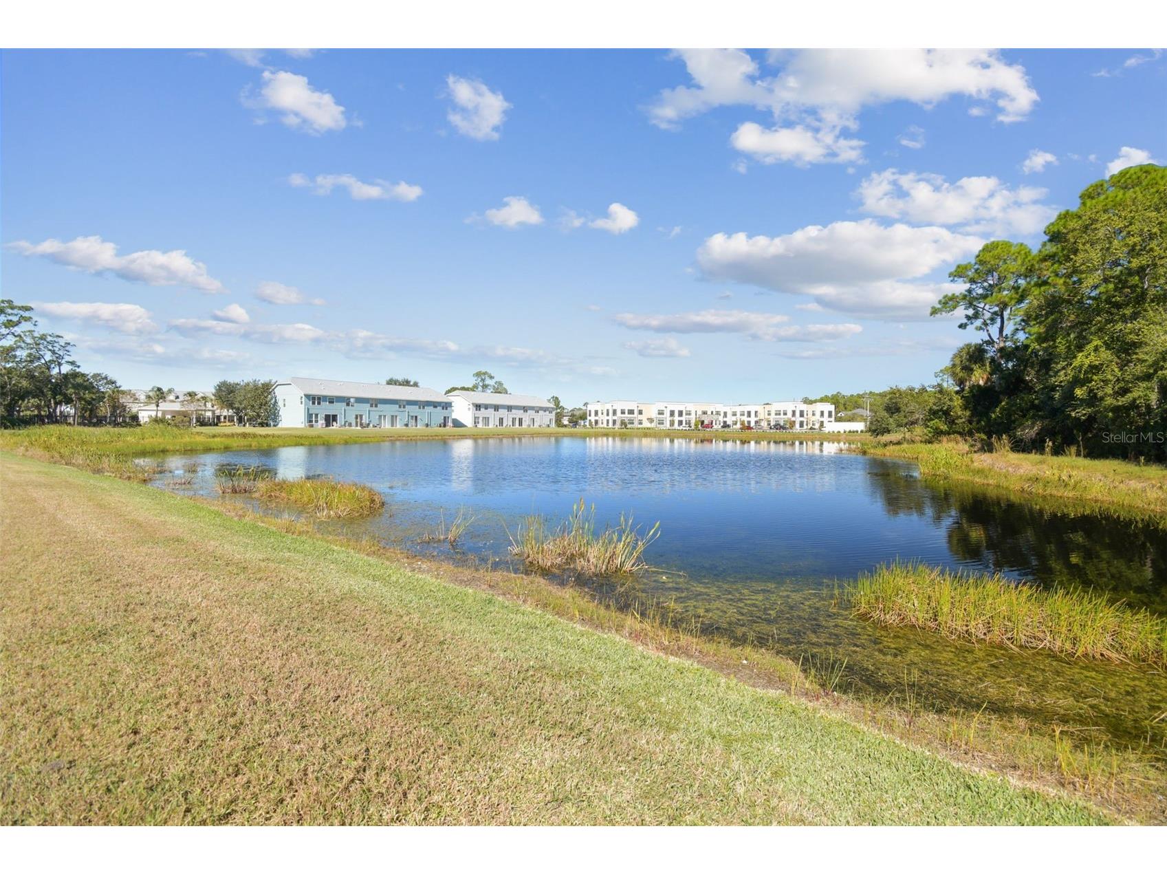 11651 Declaration Drive Tampa FL 33635 TB8479968 image43