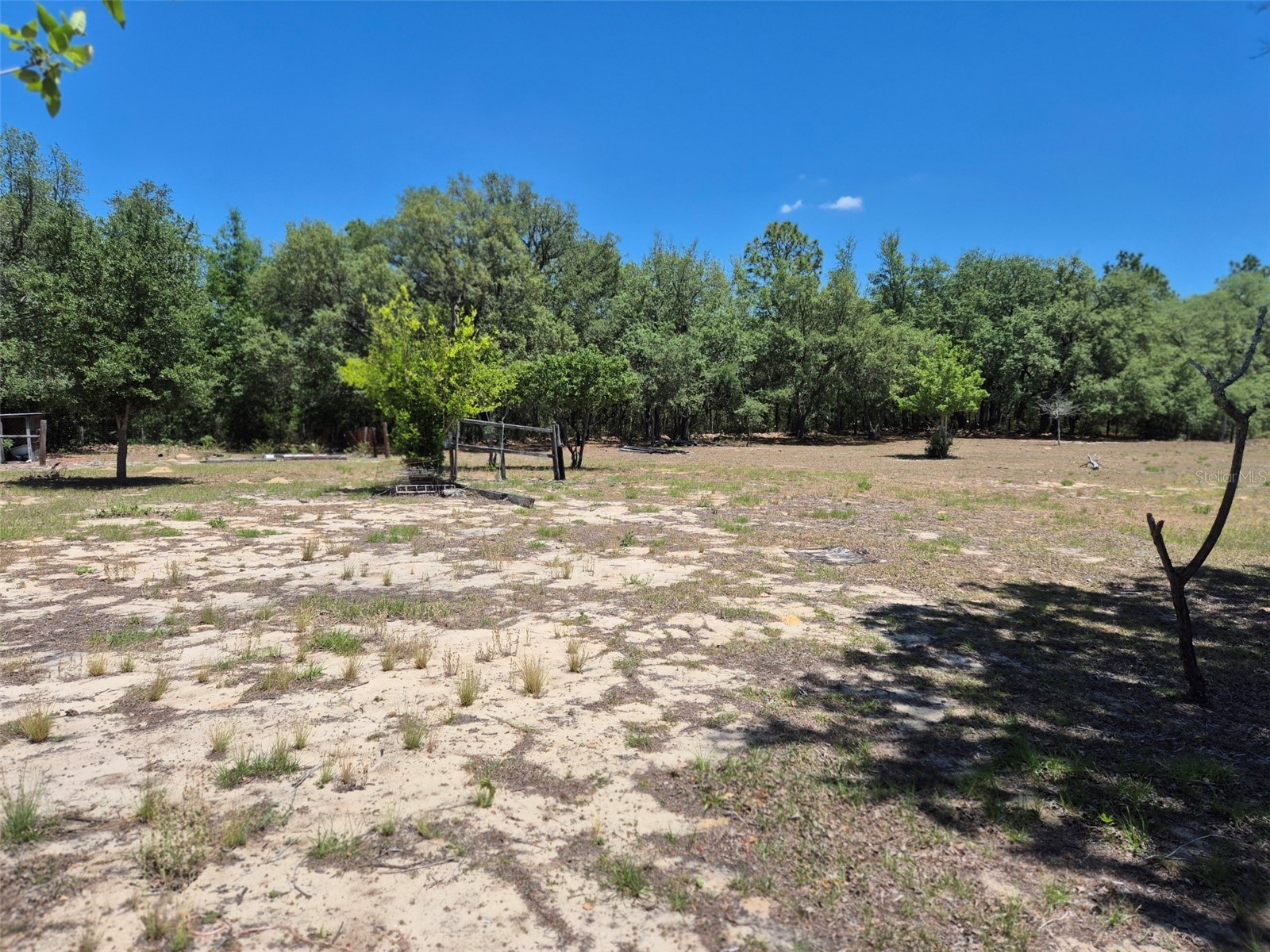 11651 NE 73rd Lane Bronson FL 32621 OM724158 image10