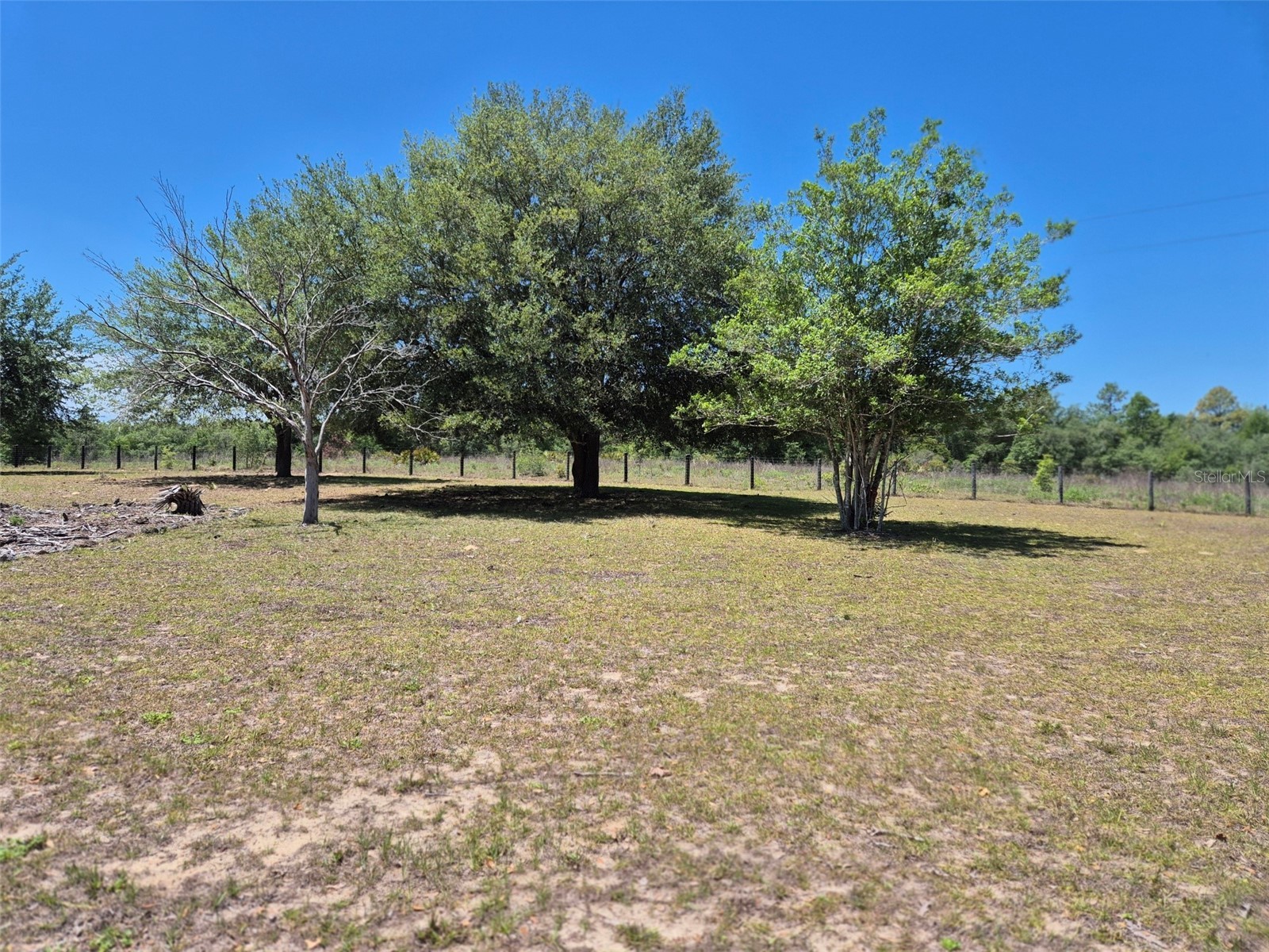 11651 NE 73rd Lane Bronson FL 32621 OM724158 image12