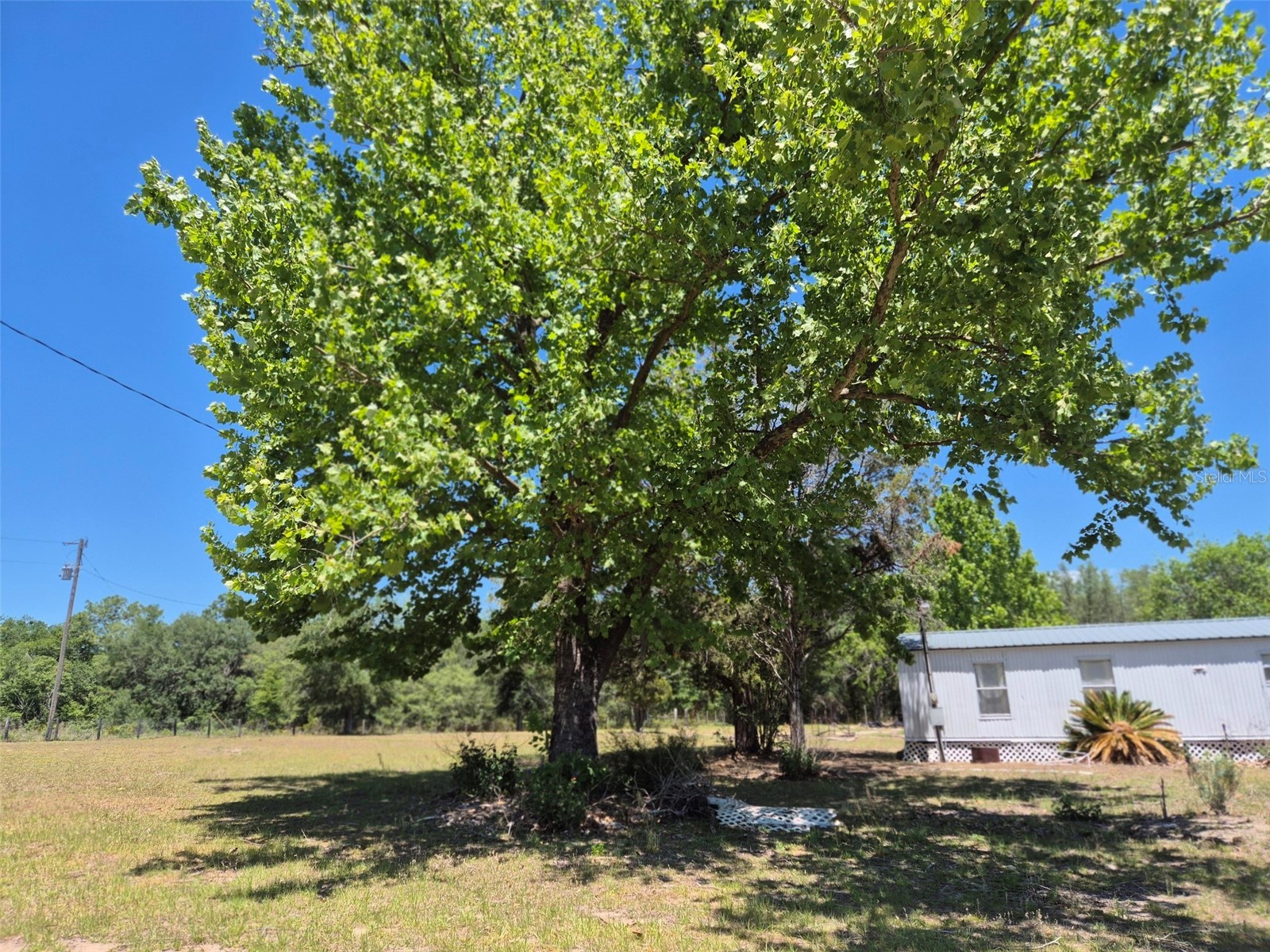 11651 NE 73rd Lane Bronson FL 32621 OM724158 image14