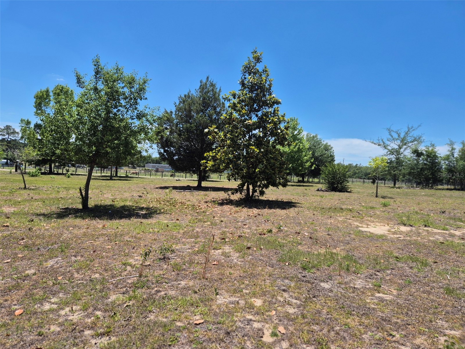 11651 NE 73rd Lane Bronson FL 32621 OM724158 image16
