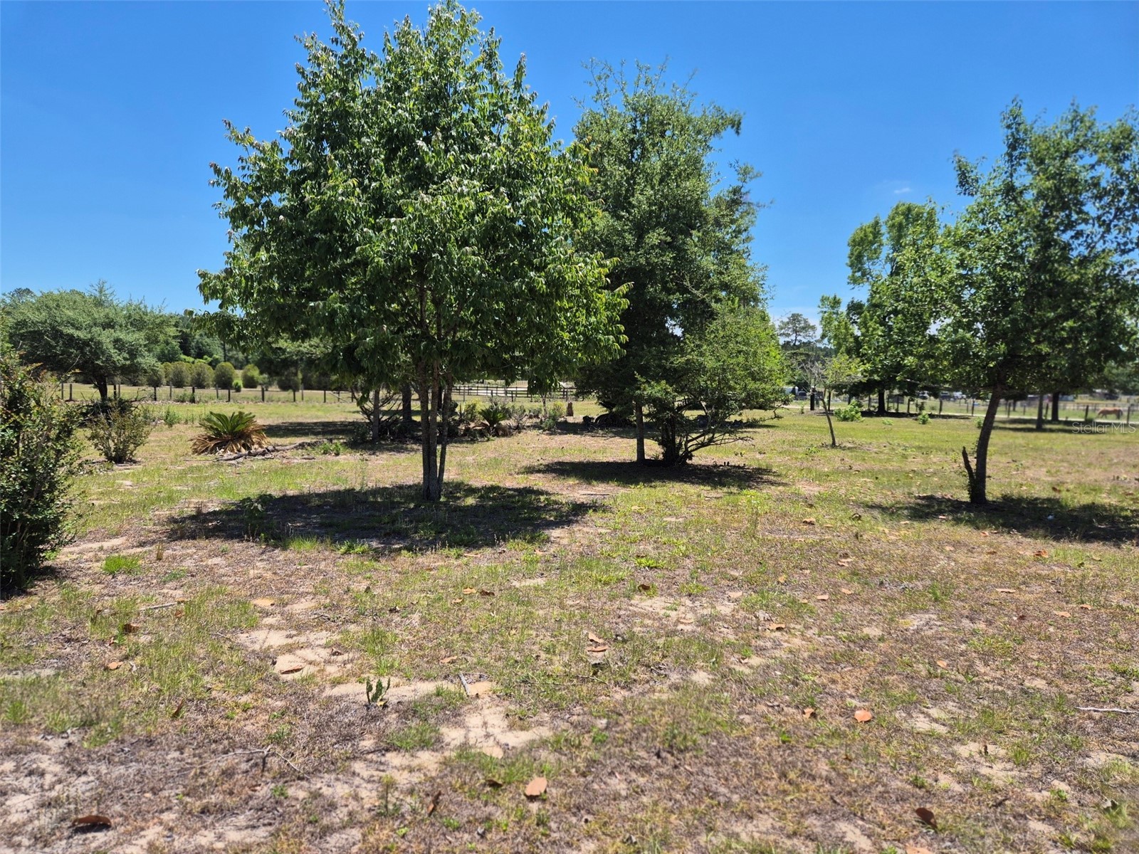 11651 NE 73rd Lane Bronson FL 32621 OM724158 image17