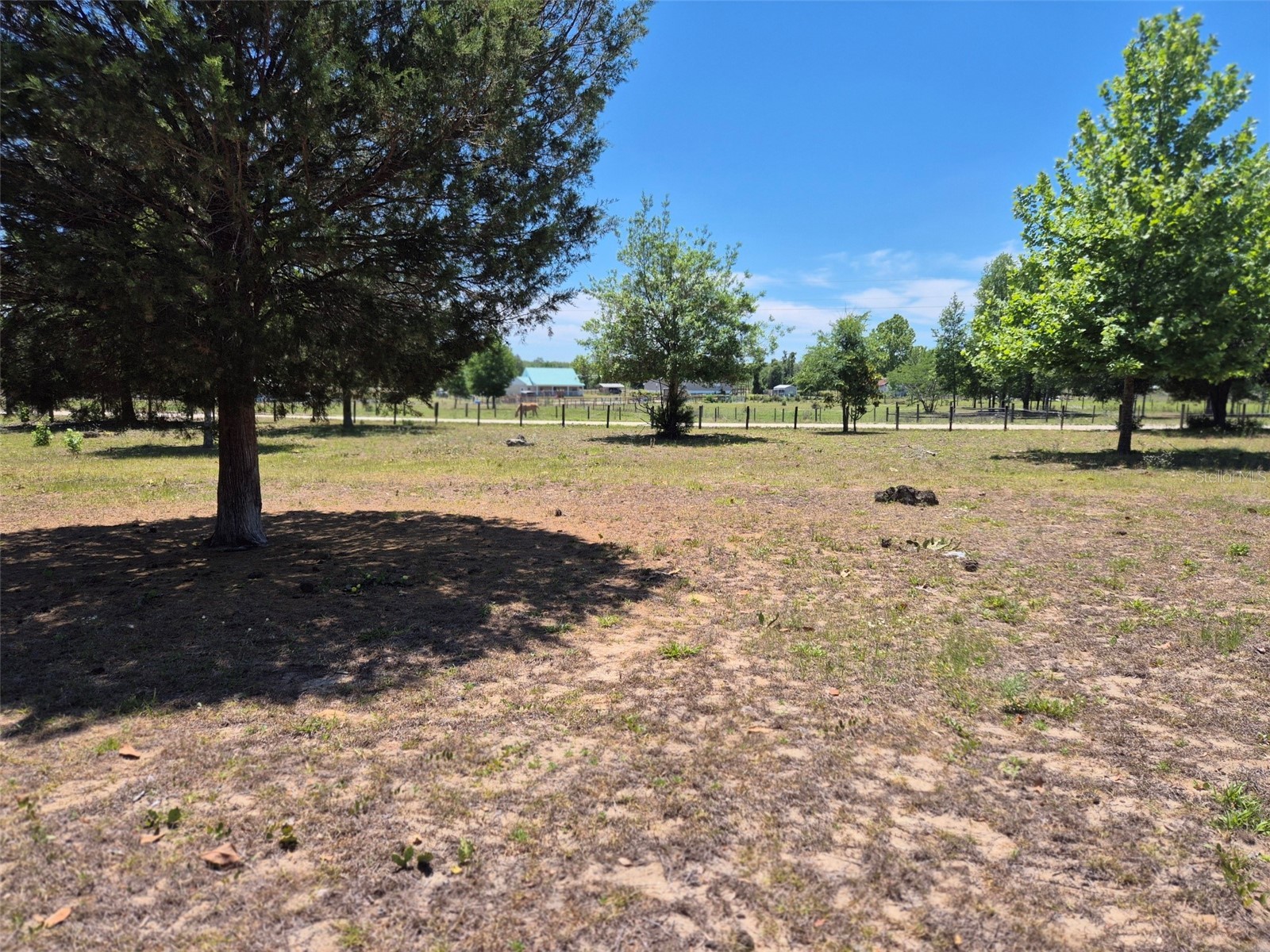 11651 NE 73rd Lane Bronson FL 32621 OM724158 image18