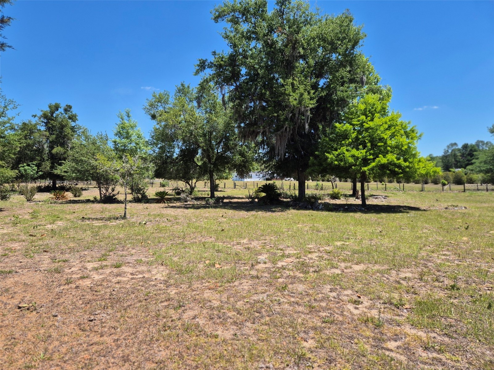 11651 NE 73rd Lane Bronson FL 32621 OM724158 image19