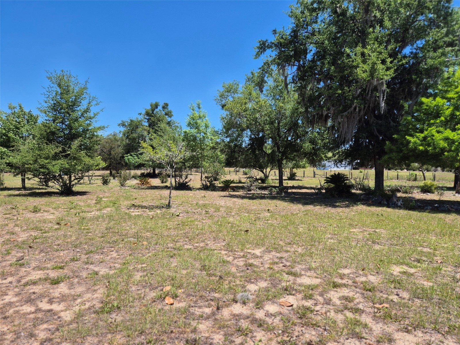 11651 NE 73rd Lane Bronson FL 32621 OM724158 image20