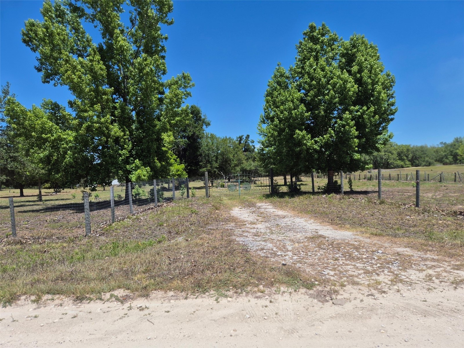 11651 NE 73rd Lane Bronson FL 32621 OM724158 image21