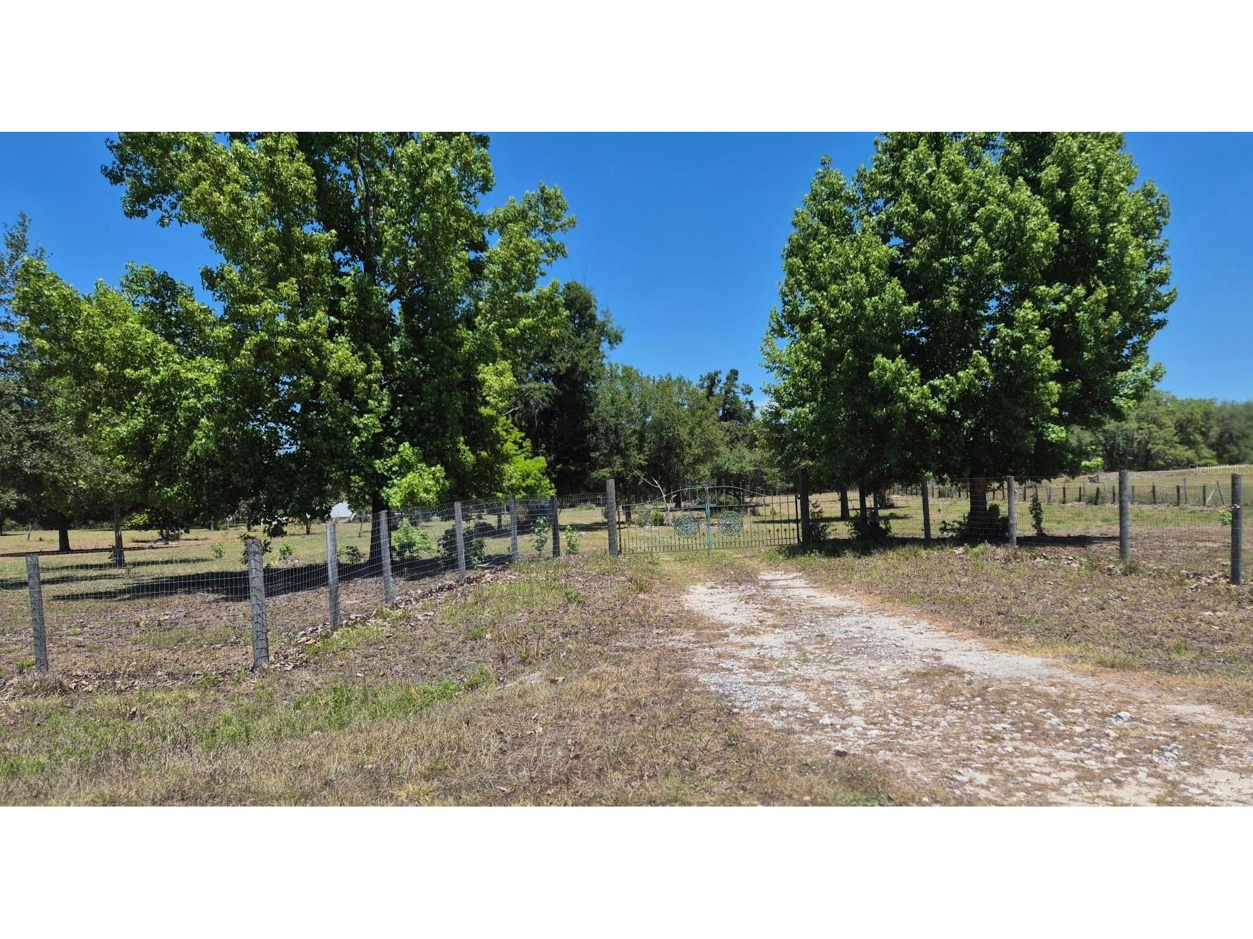 11651 NE 73rd Lane Bronson FL 32621 OM724158 image22