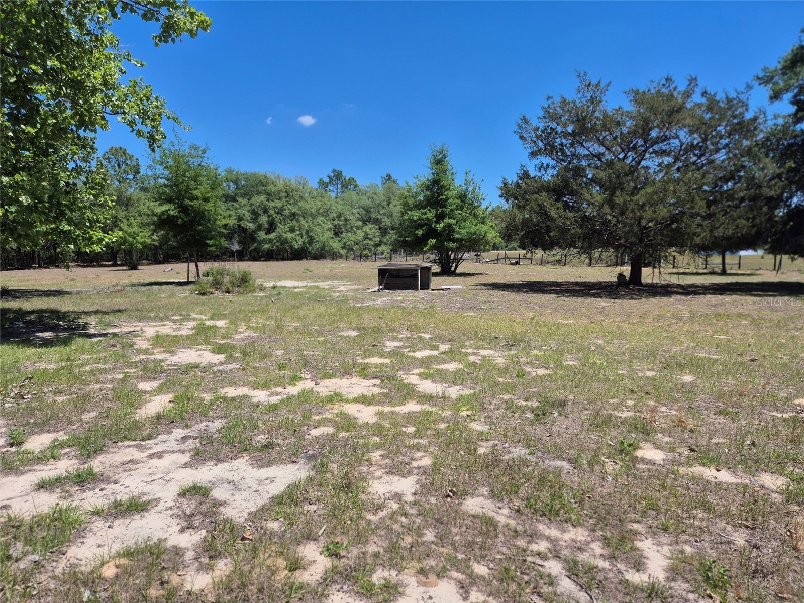 11651 NE 73rd Lane Bronson FL 32621 OM724158 image7