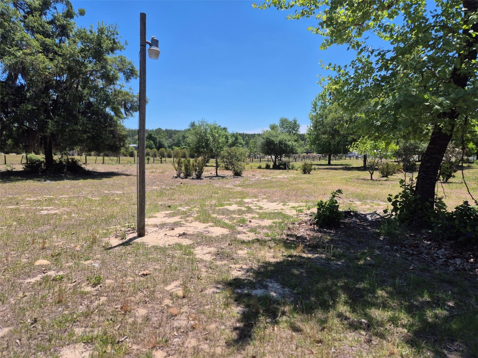 11651 NE 73rd Lane Bronson FL 32621 OM724158 image8