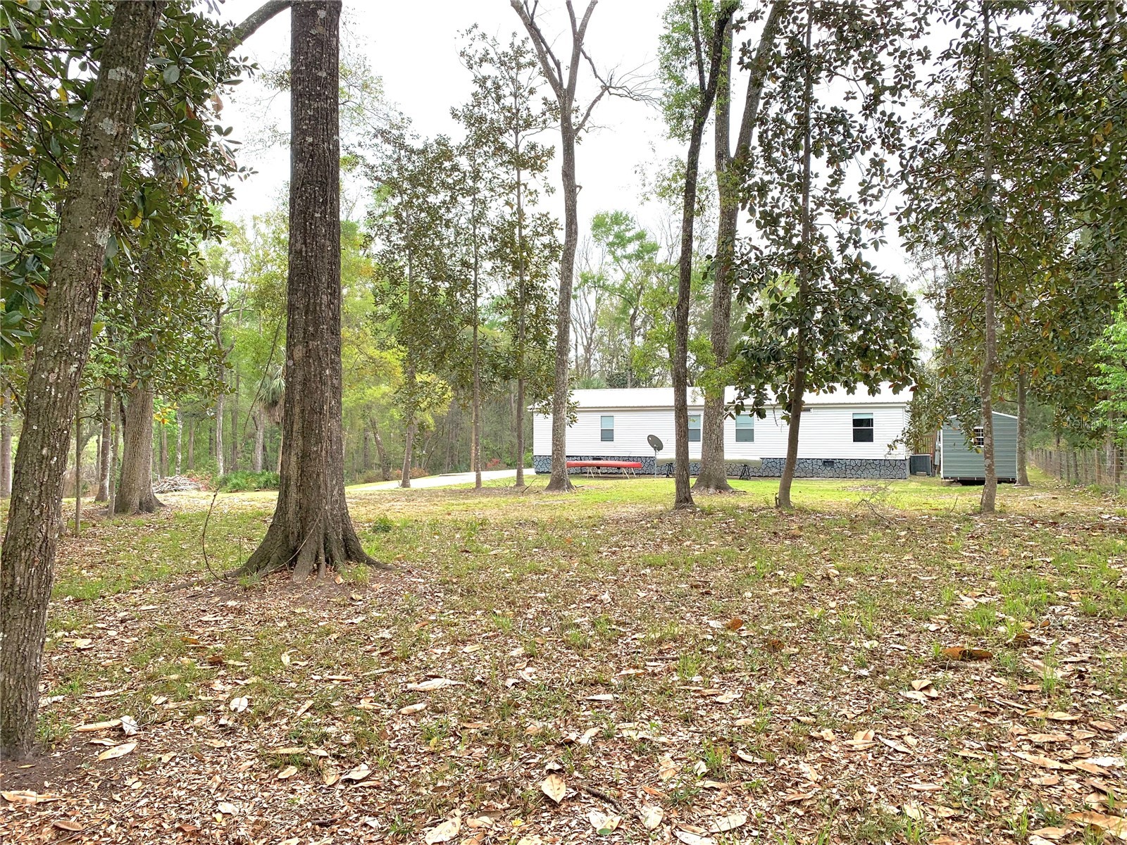 11651 NW 127 Lane Chiefland FL 32626 GC538806 image11