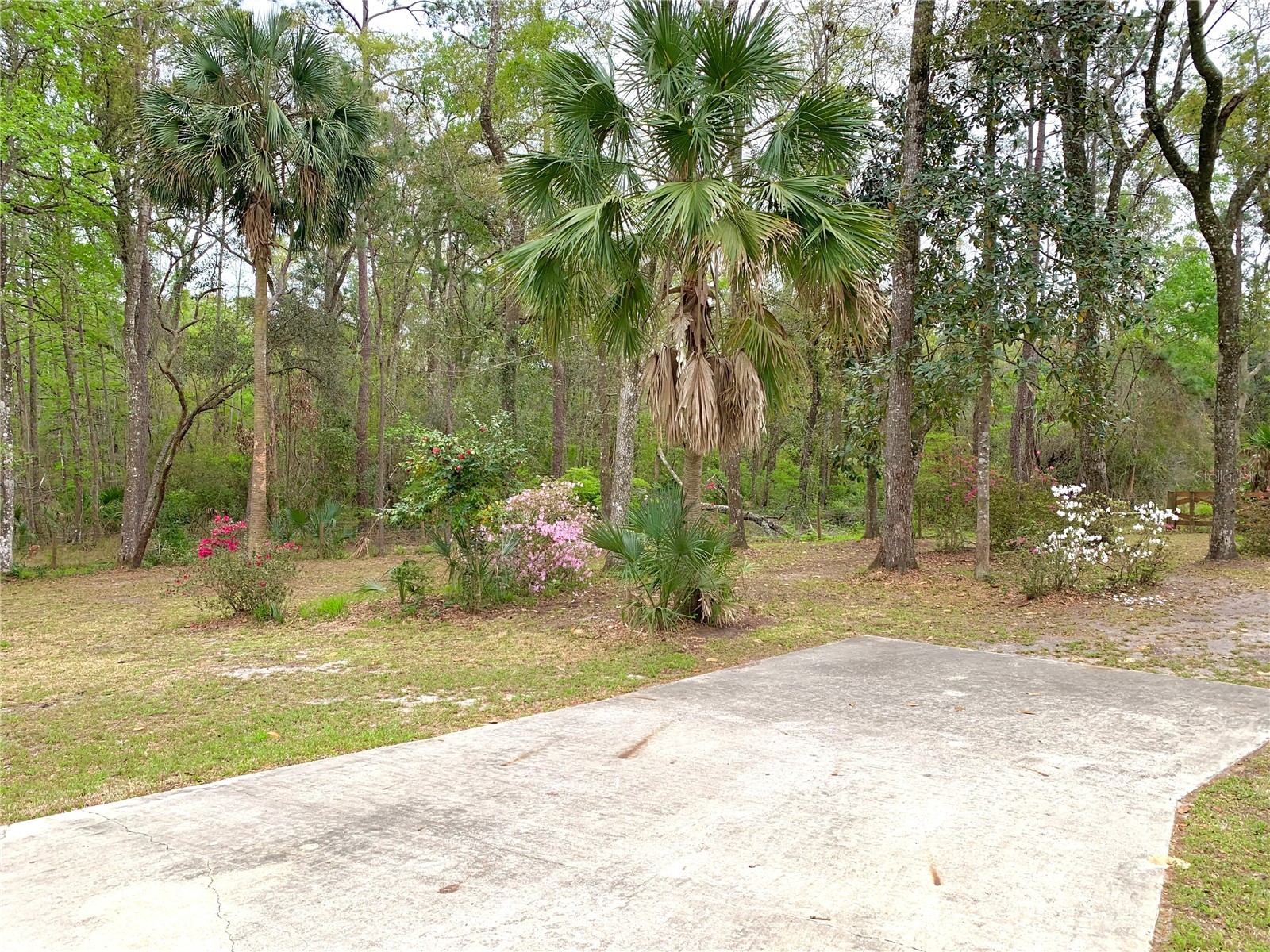 11651 NW 127 Lane Chiefland FL 32626 GC538806 image46