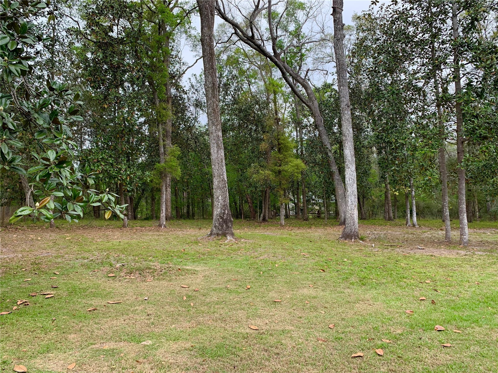 11651 NW 127 Lane Chiefland FL 32626 GC538806 image9