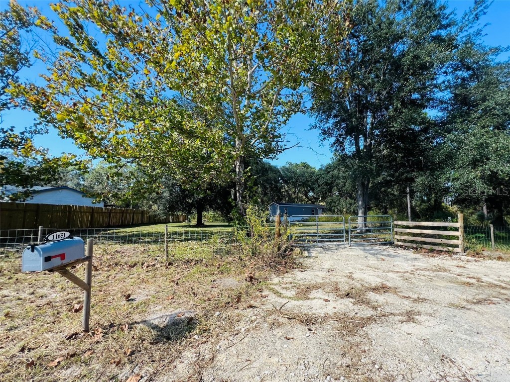 11651 SE 82nd Street Morriston FL 32668 O6355518 image2