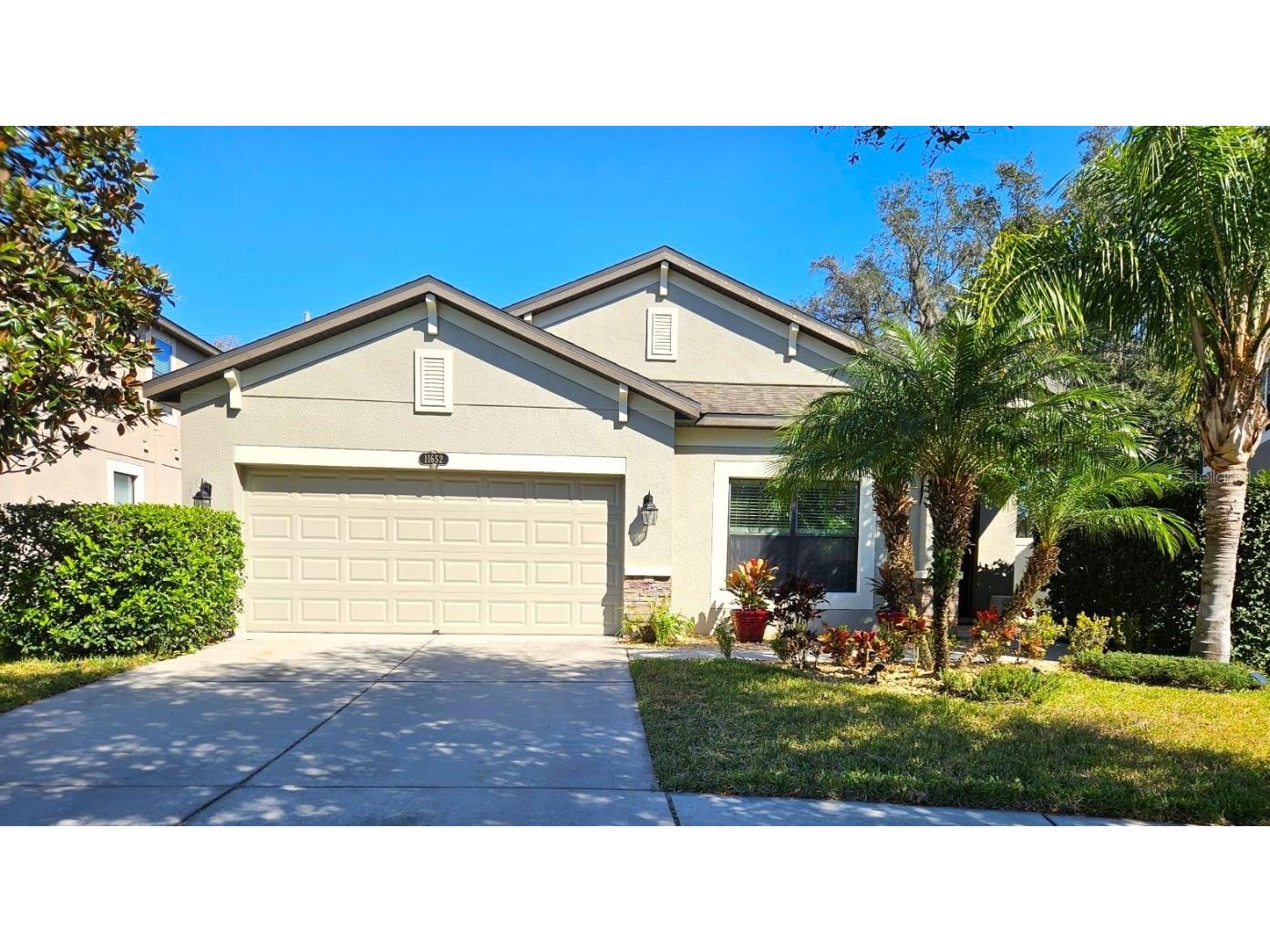 11652 Palmetto Pine Street Riverview FL 33569 T3502377 image1