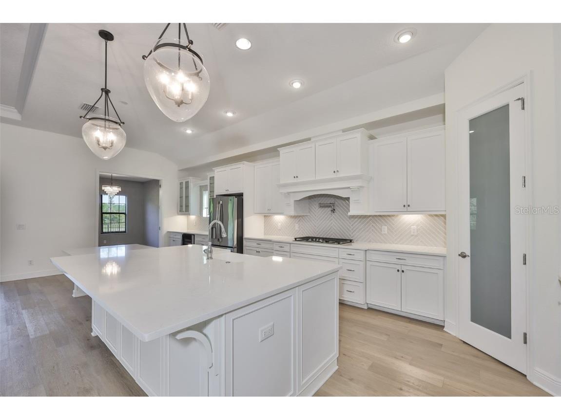 11653 Tallfield Lane Odessa FL 33556 TB8447978 image21