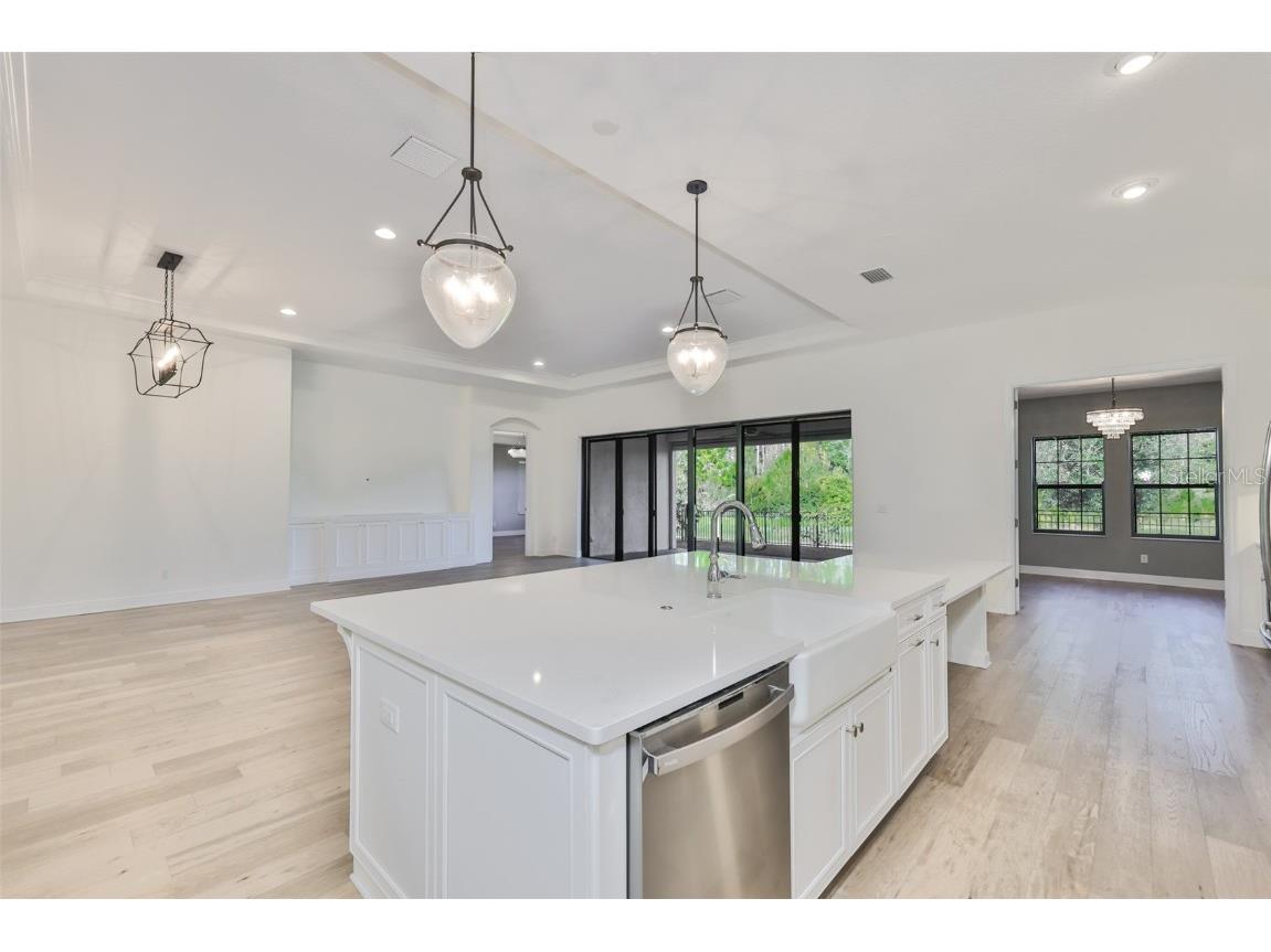 11653 Tallfield Lane Odessa FL 33556 TB8447978 image22