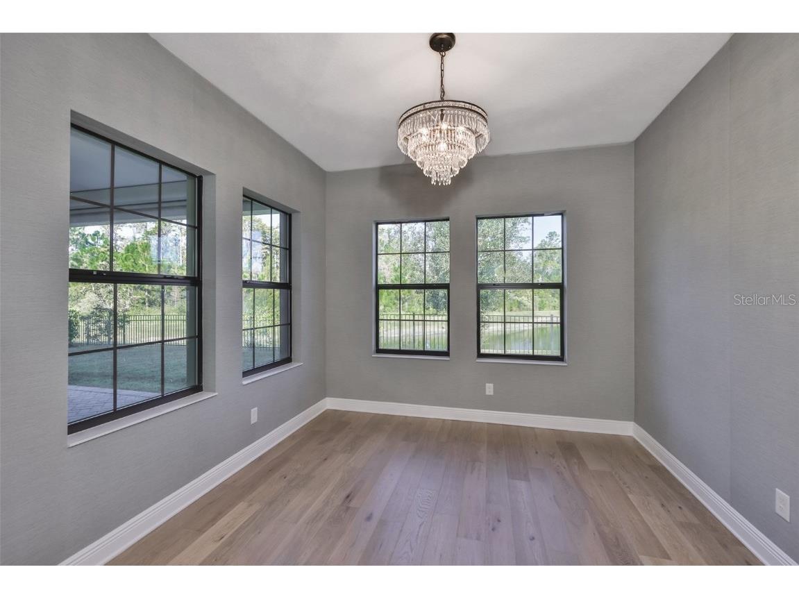 11653 Tallfield Lane Odessa FL 33556 TB8447978 image28