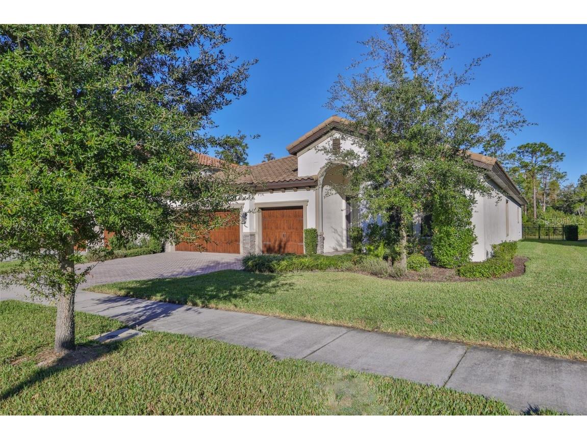 11653 Tallfield Lane Odessa FL 33556 TB8447978 image3