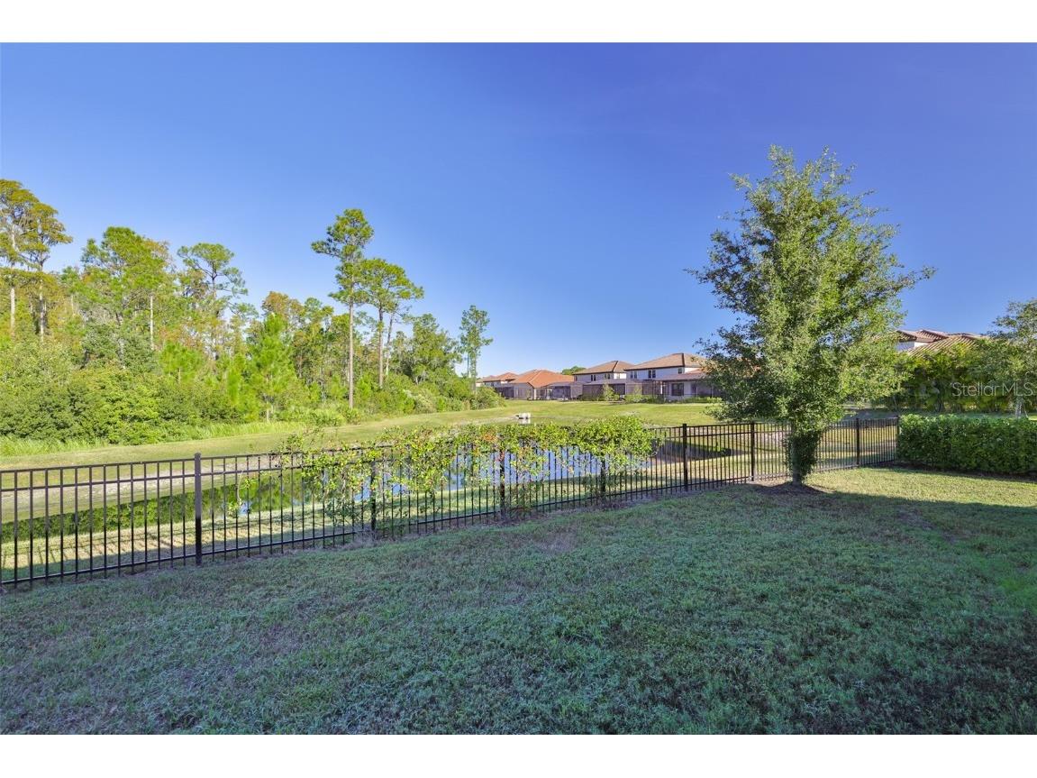 11653 Tallfield Lane Odessa FL 33556 TB8447978 image36