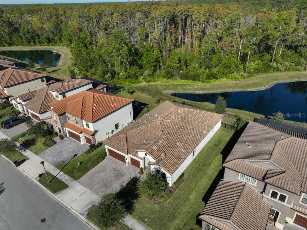 11653 Tallfield Lane Odessa FL 33556 TB8447978 image40