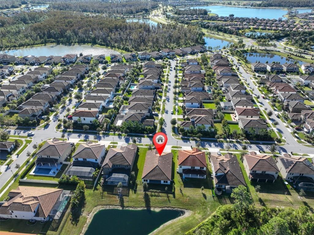 11653 Tallfield Lane Odessa FL 33556 TB8447978 image41