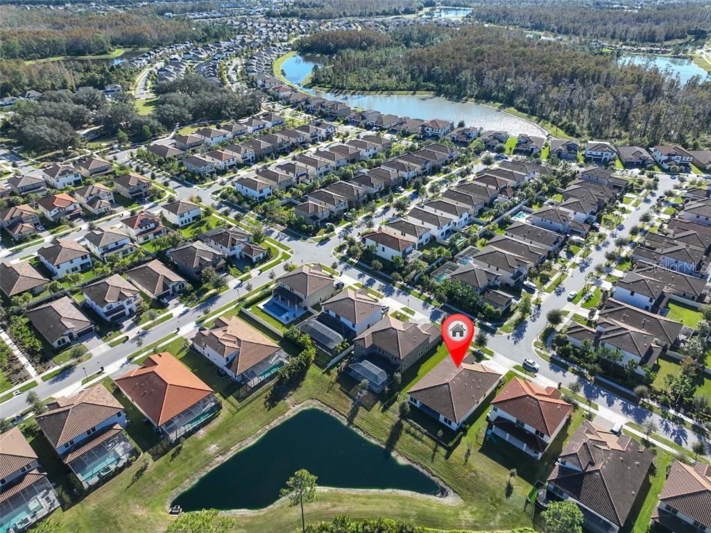 11653 Tallfield Lane Odessa FL 33556 TB8447978 image42