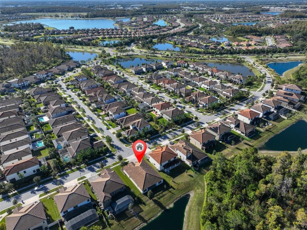 11653 Tallfield Lane Odessa FL 33556 TB8447978 image43