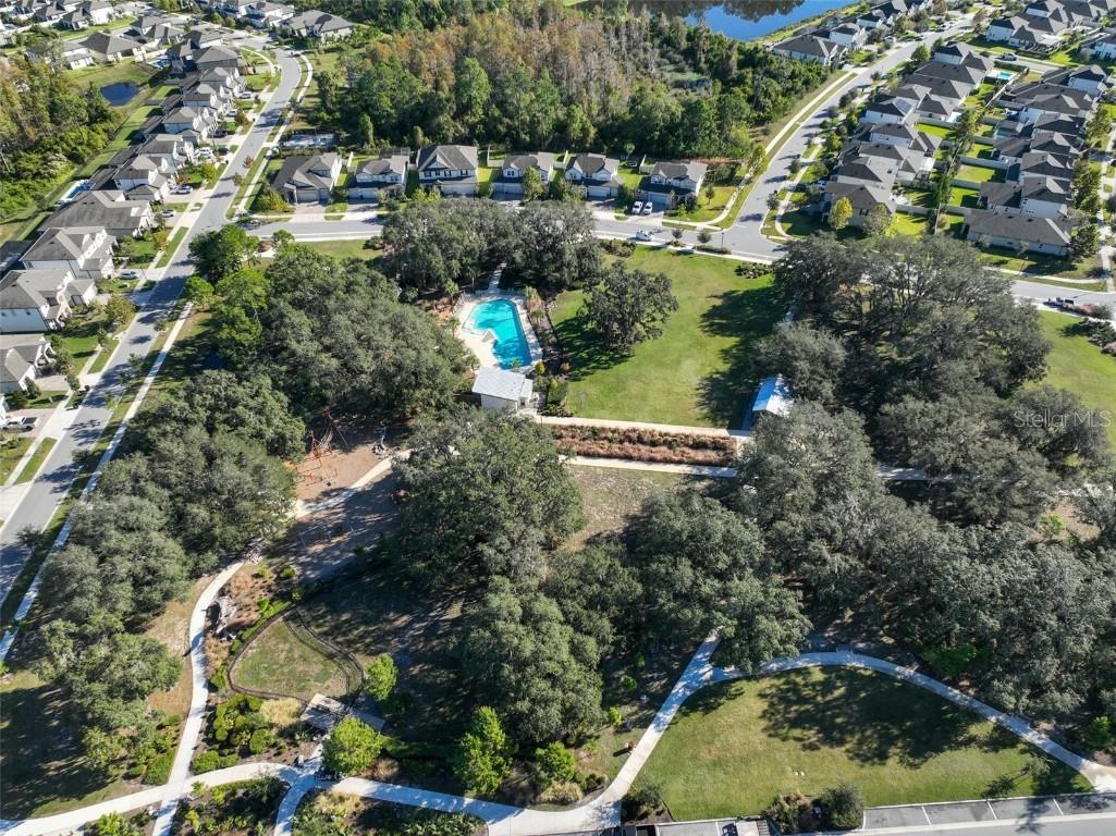 11653 Tallfield Lane Odessa FL 33556 TB8447978 image44