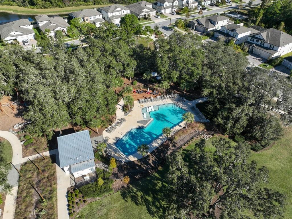 11653 Tallfield Lane Odessa FL 33556 TB8447978 image45