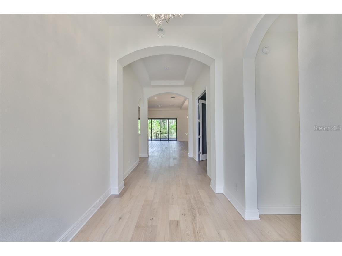 11653 Tallfield Lane Odessa FL 33556 TB8447978 image5