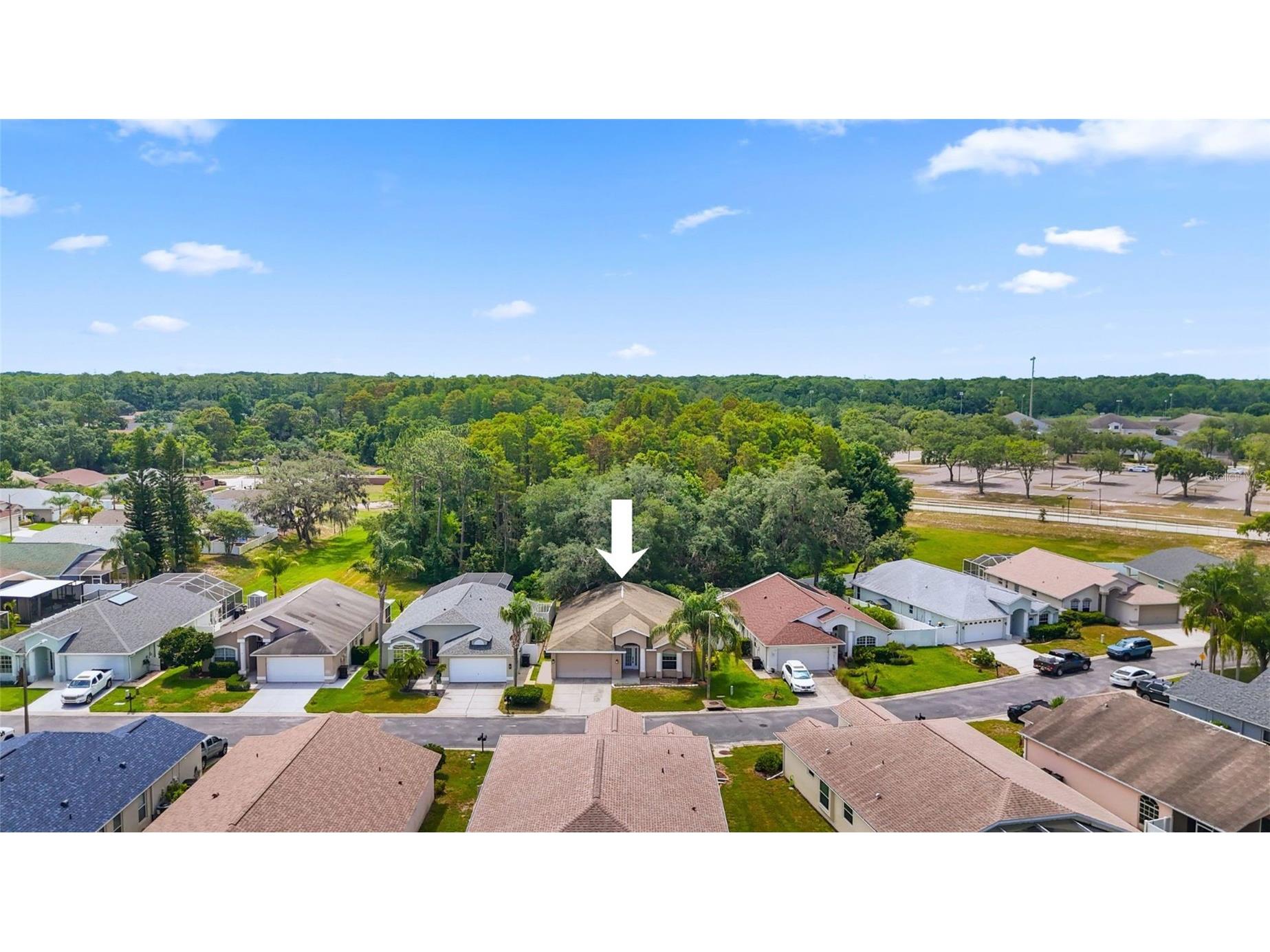 11654 Leda Lane New Port Richey FL 34654 TB8516363 image36